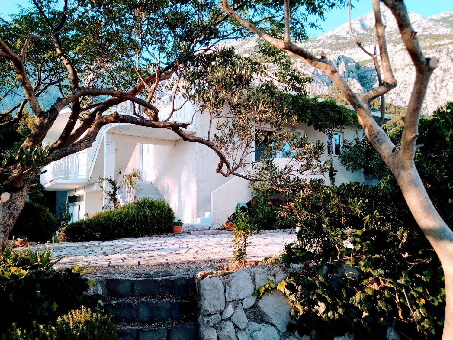 Viki - Seaview & Garden Terrace